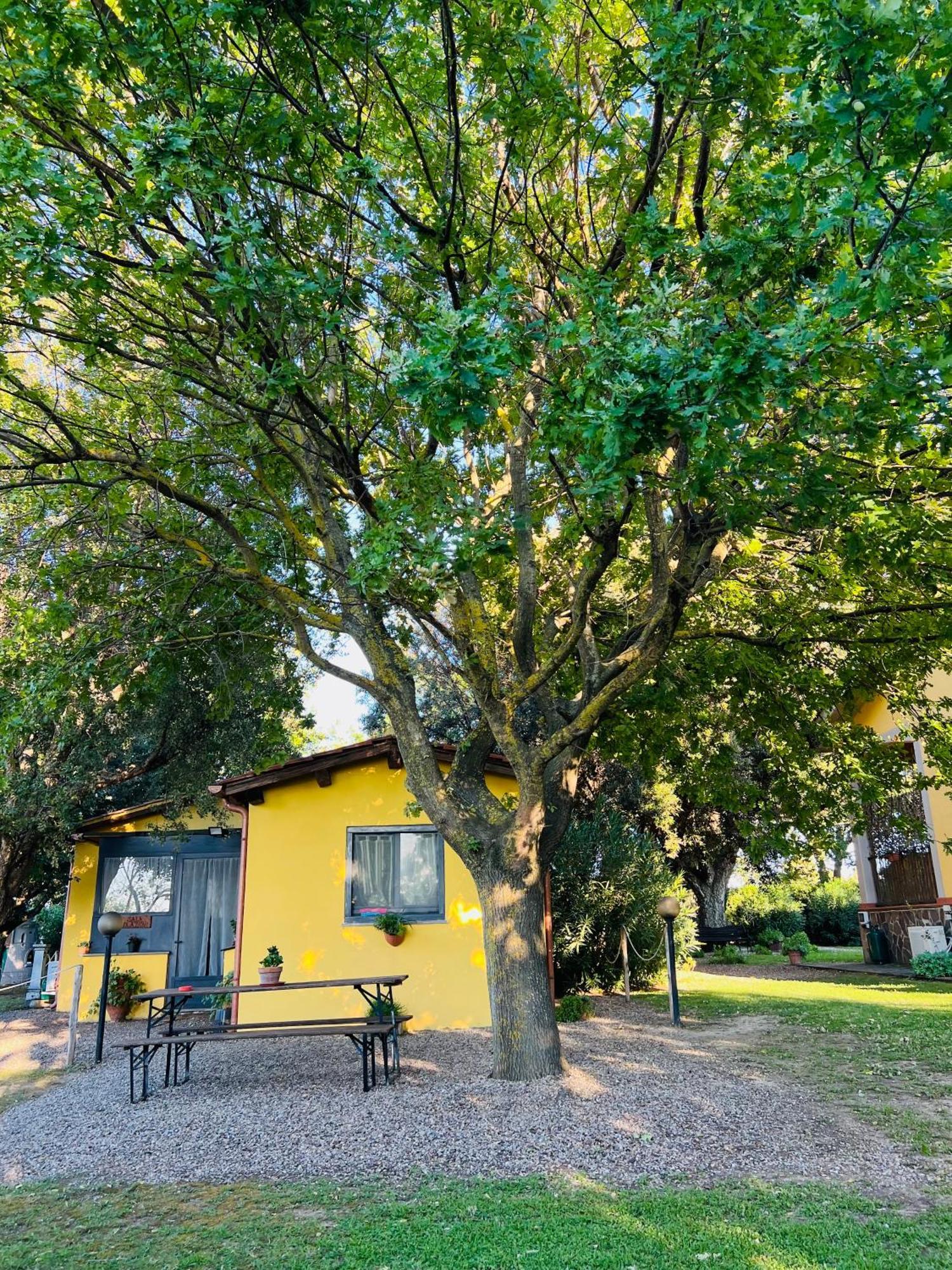 Il Melarancio Pescia Romana Exterior foto