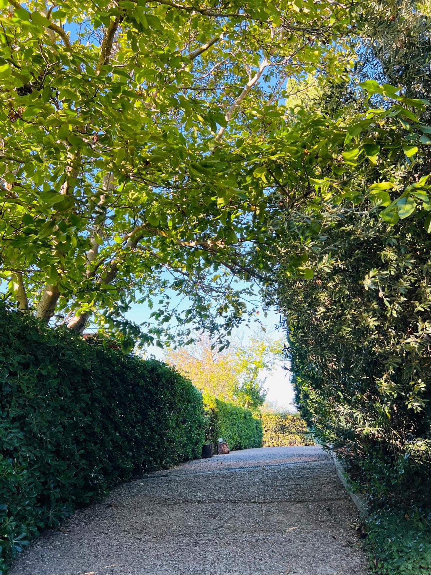 Il Melarancio Pescia Romana Exterior foto