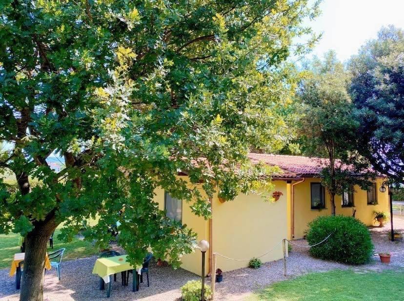 Il Melarancio Pescia Romana Exterior foto